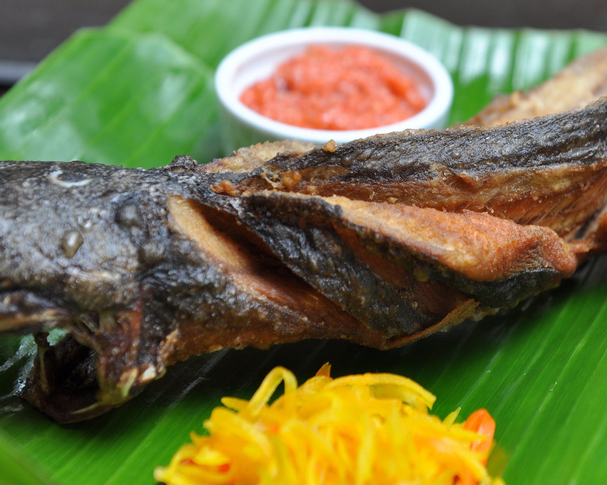 Crispy Hito w/ Buro